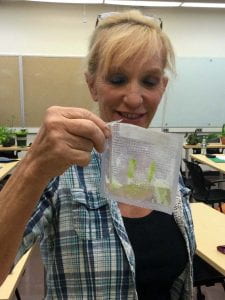 attendee holding and looking at plant sample in a baggie
